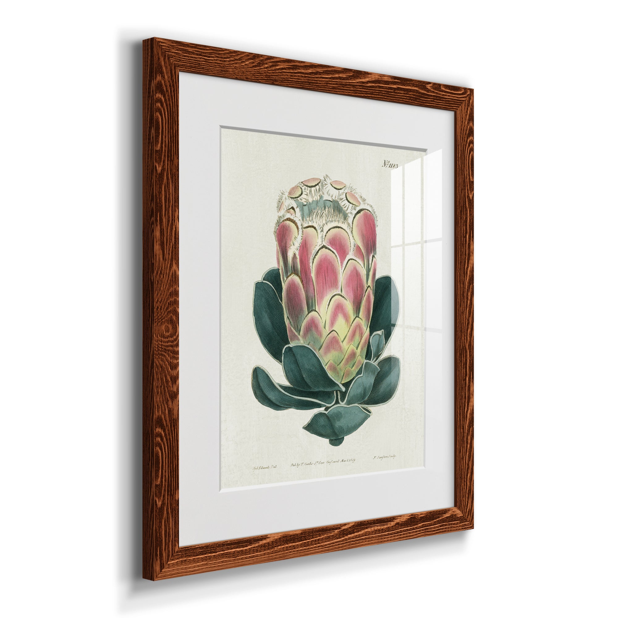 Protea N83 - Barnwood Framed Art Print