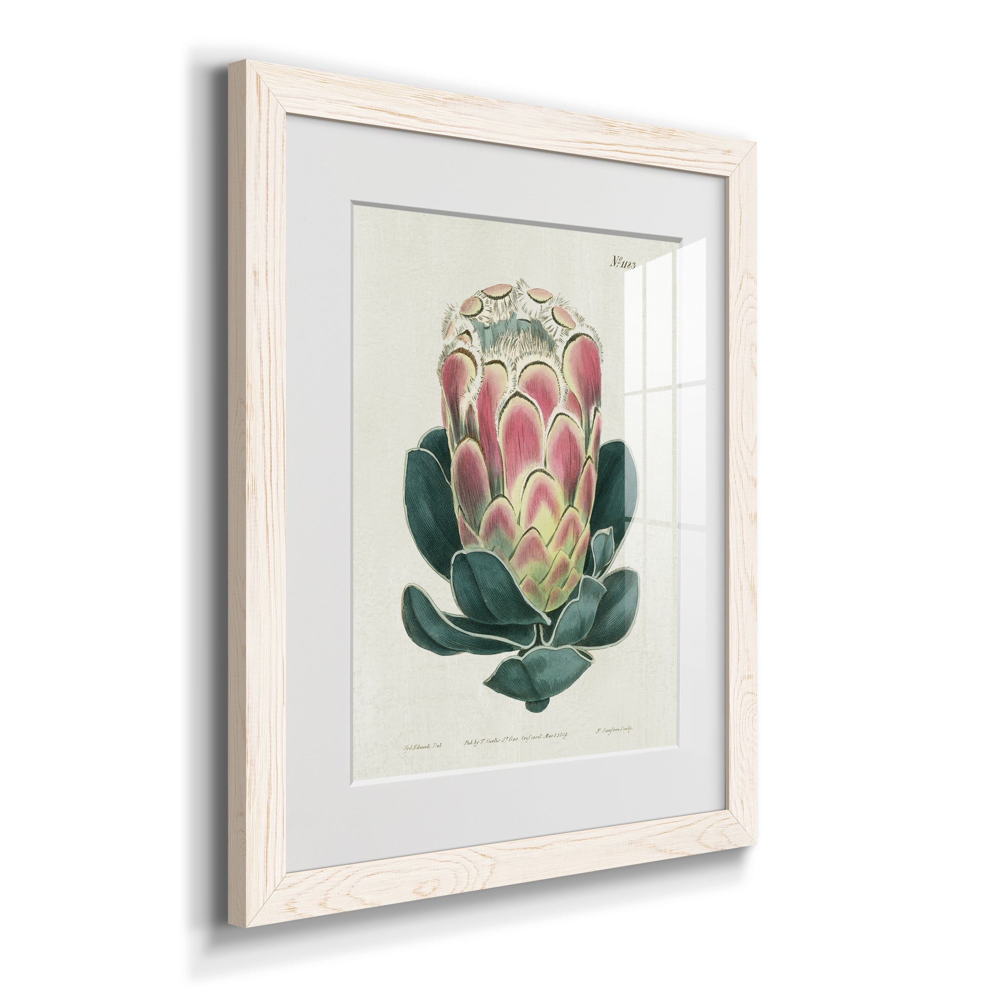Protea N83 - Barnwood Framed Art Print