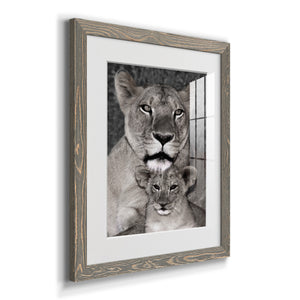 Lioness and Cub - Barnwood Framed Art Print