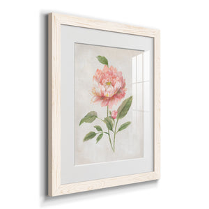 Grandiflora III - Barnwood Framed Art Print