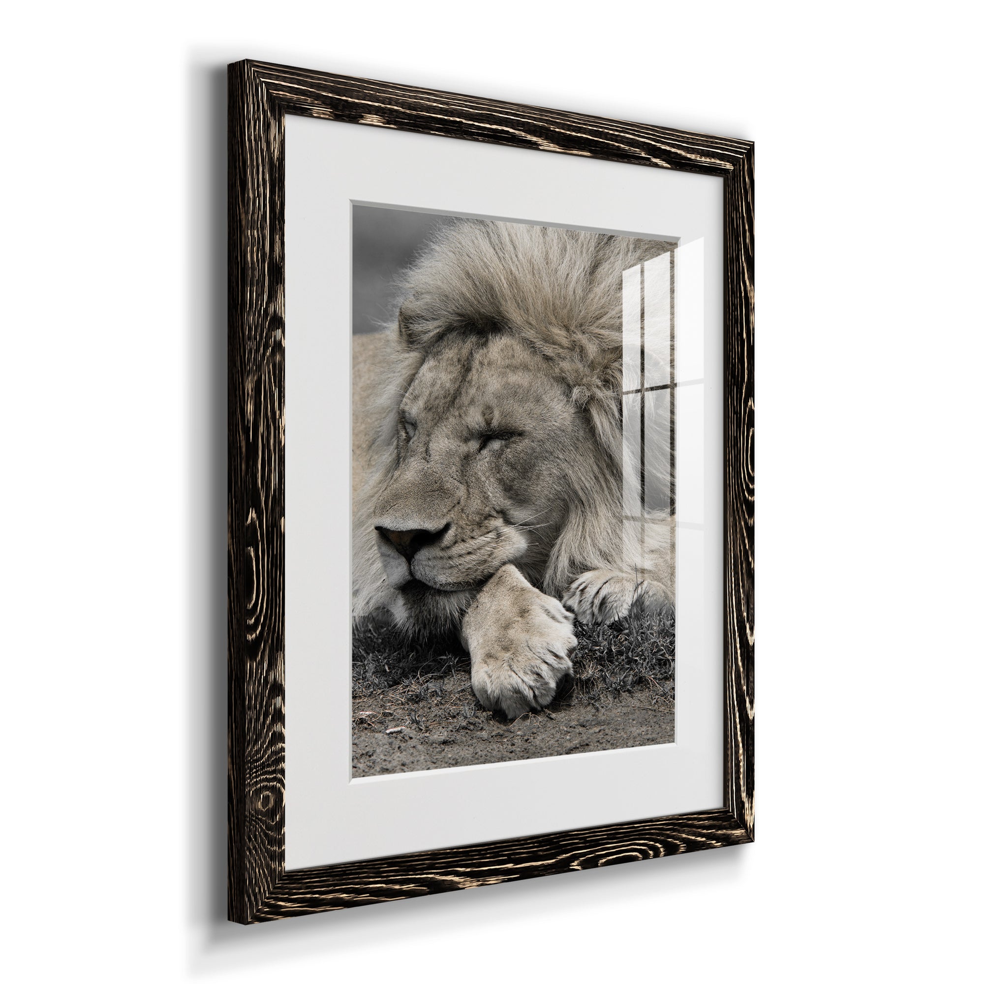 Sleepy Afternoon in Masai Mara - Barnwood Framed Art Print