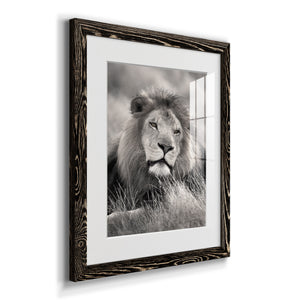 Pride of the Pride - Barnwood Framed Art Print