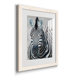 Namibia Zebra - Premium Framed Print - Distressed Barnwood Frame - Ready to Hang