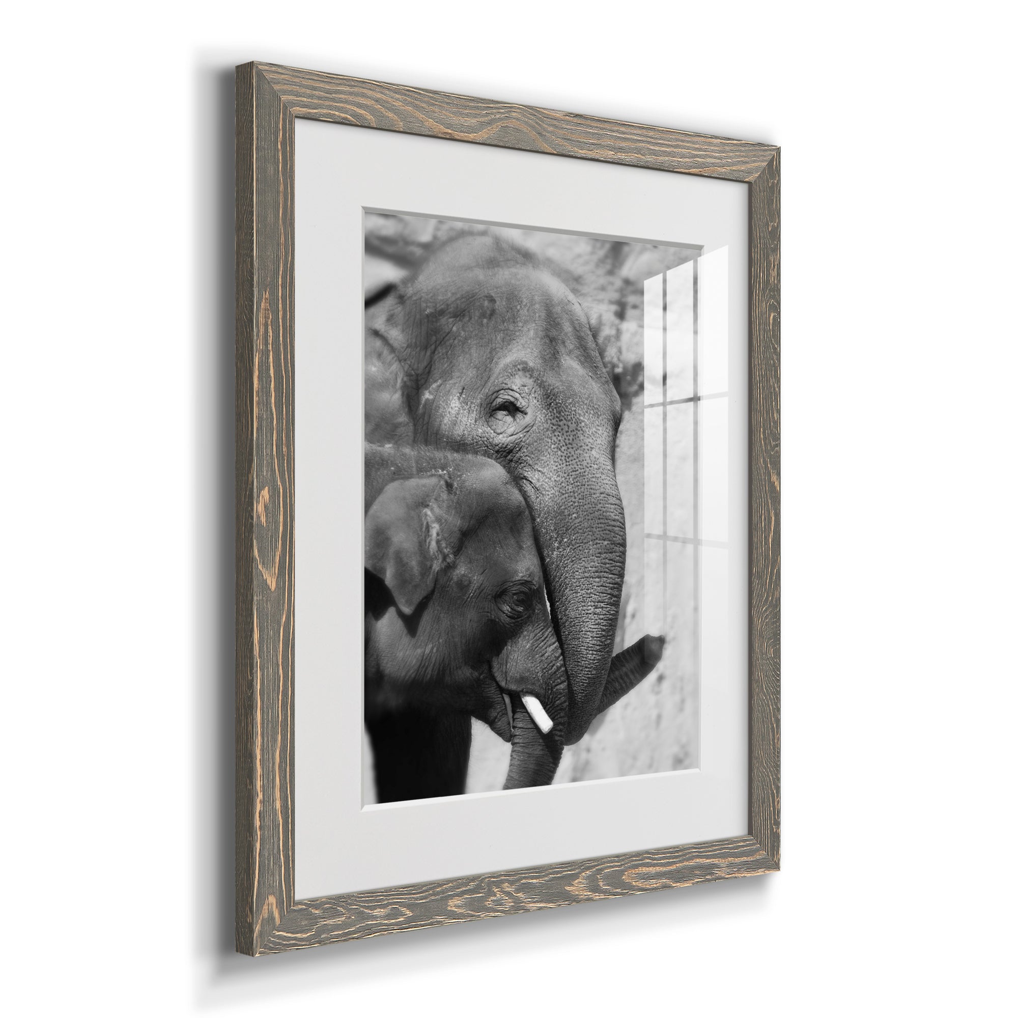 Tender Moment - Barnwood Framed Art Print