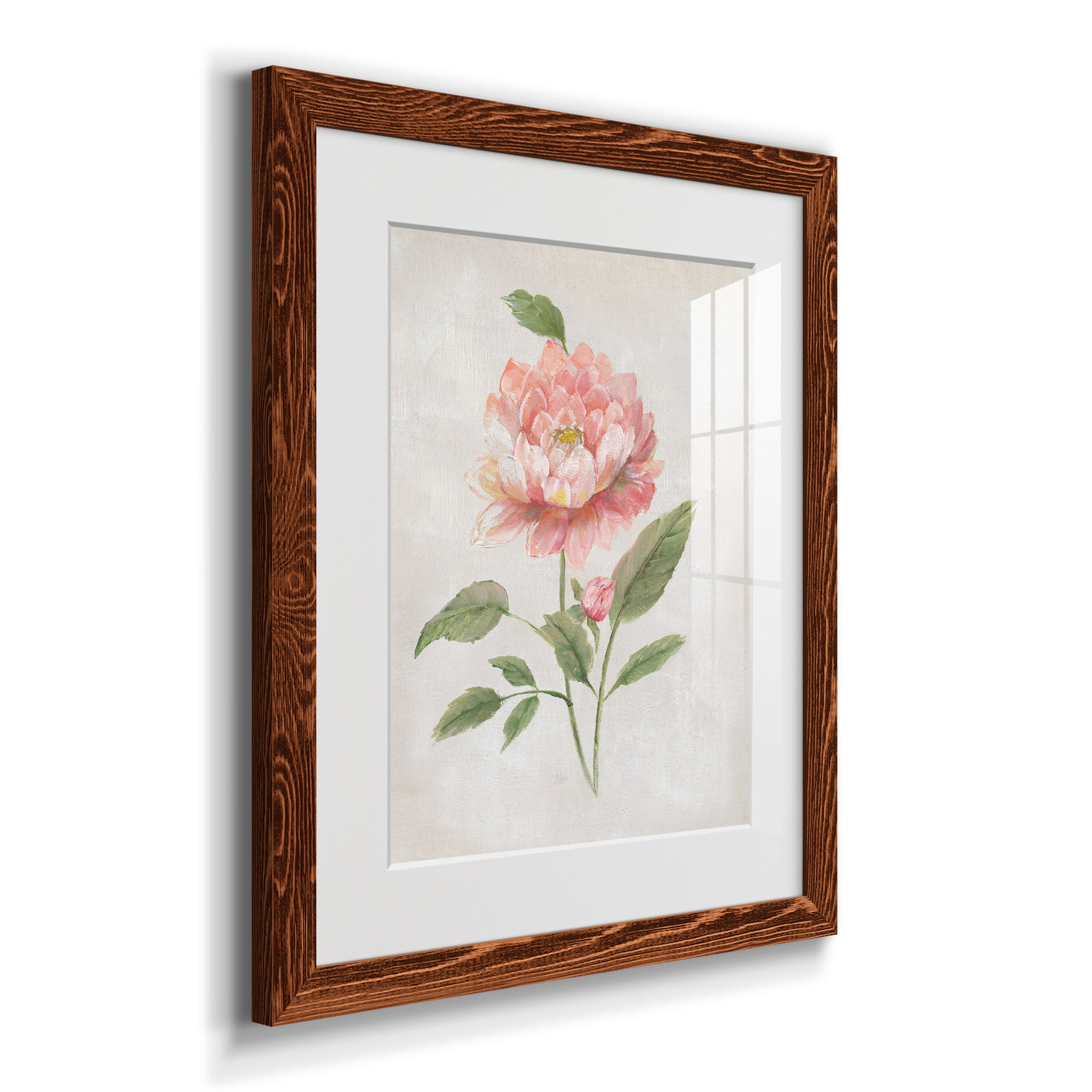 Grandiflora III - Barnwood Framed Art Print