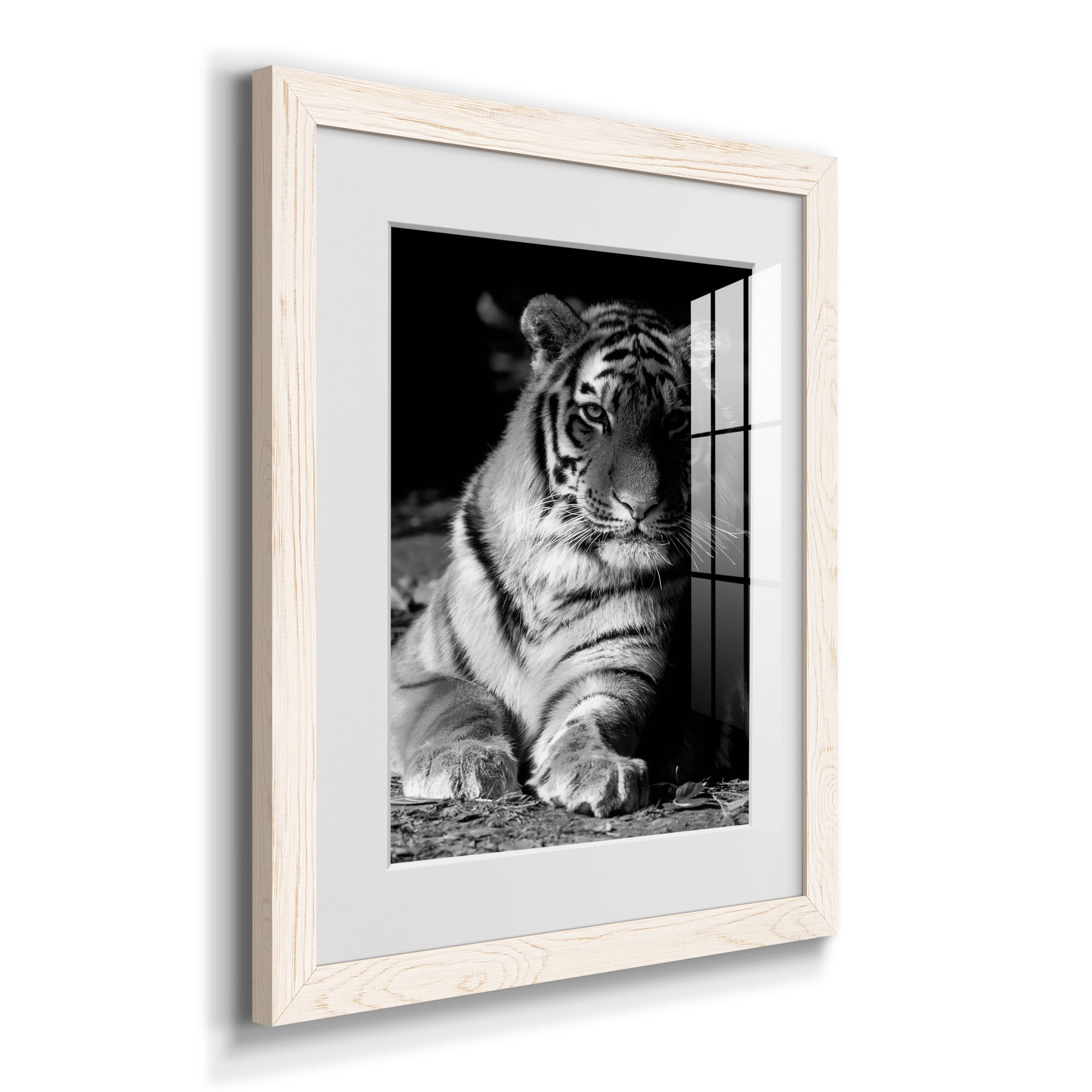 Tiger Repose - Barnwood Framed Art Print