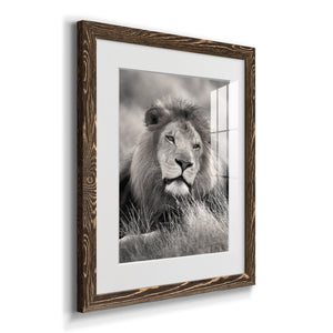 Pride of the Pride - Barnwood Framed Art Print