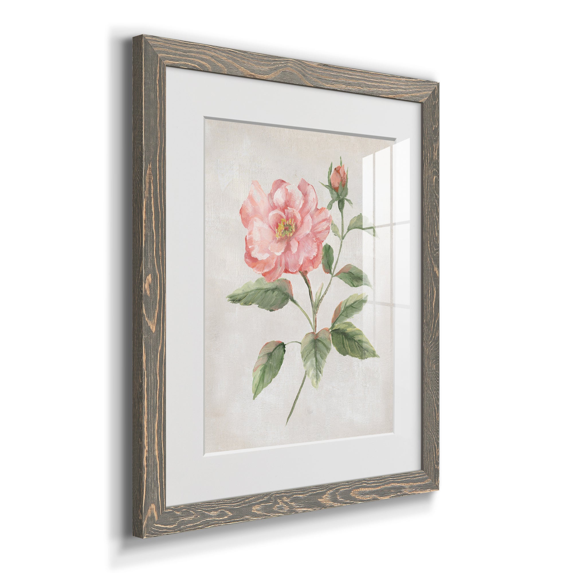 Grandiflora II - Barnwood Framed Art Print