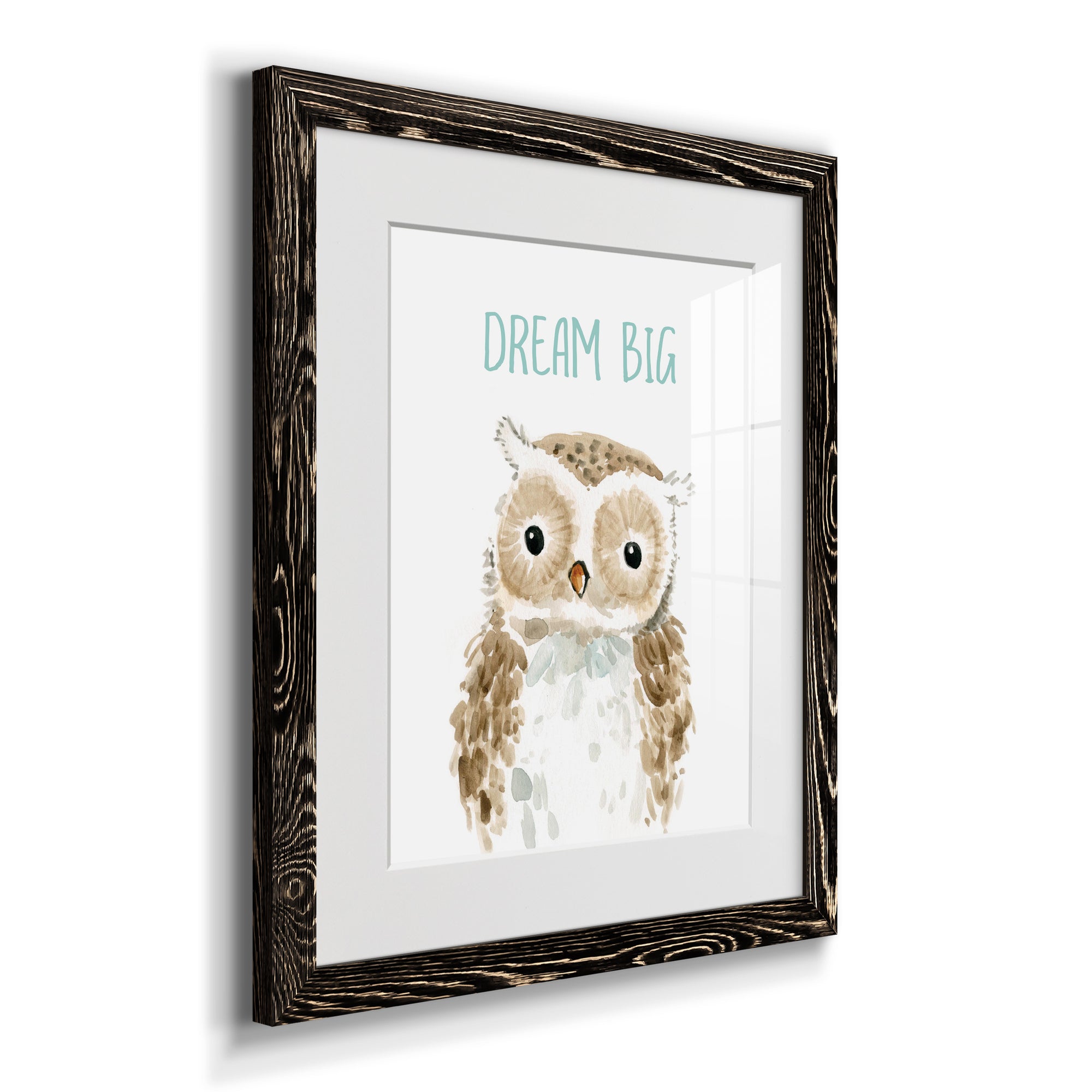 Dream Big Owl - Barnwood