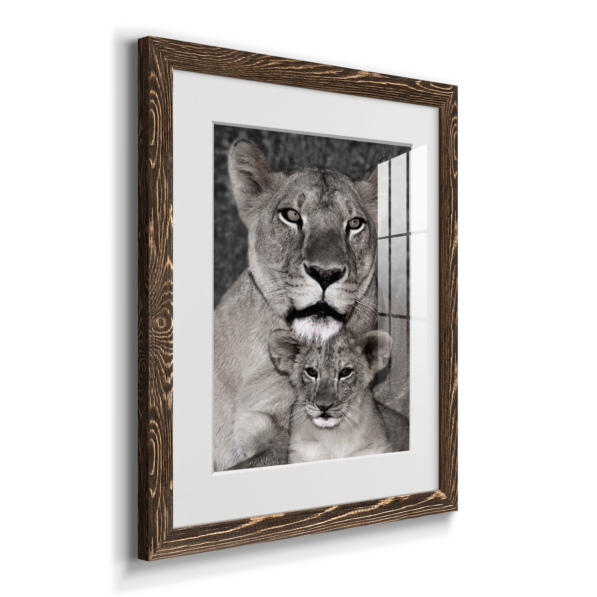Lioness and Cub - Barnwood Framed Art Print