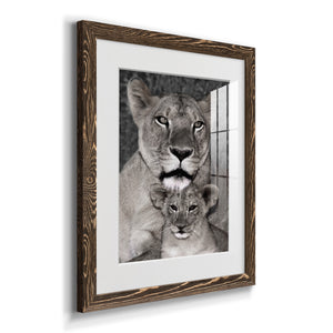 Lioness and Cub - Barnwood Framed Art Print