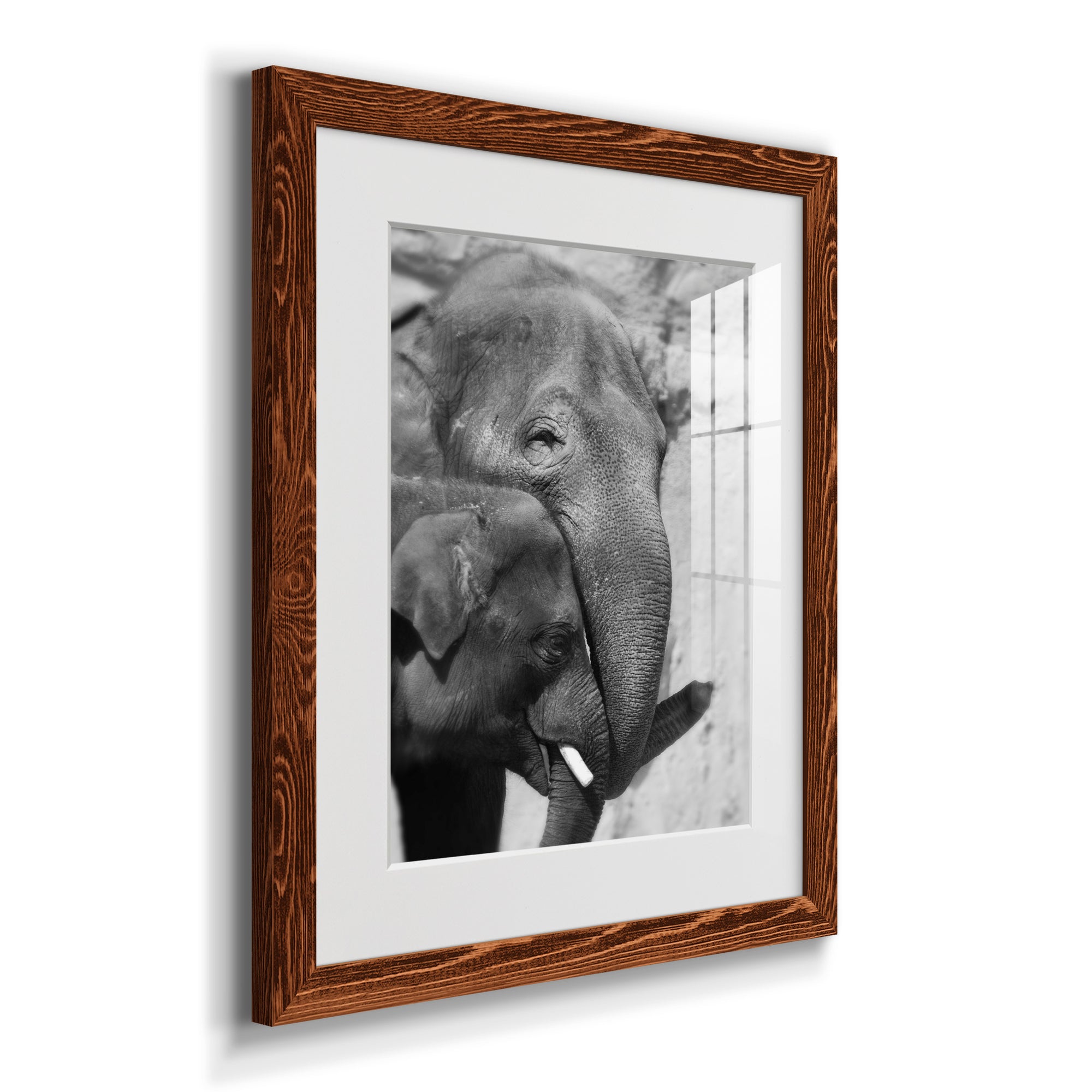 Tender Moment - Barnwood Framed Art Print