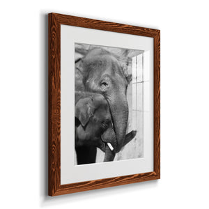 Tender Moment - Barnwood Framed Art Print