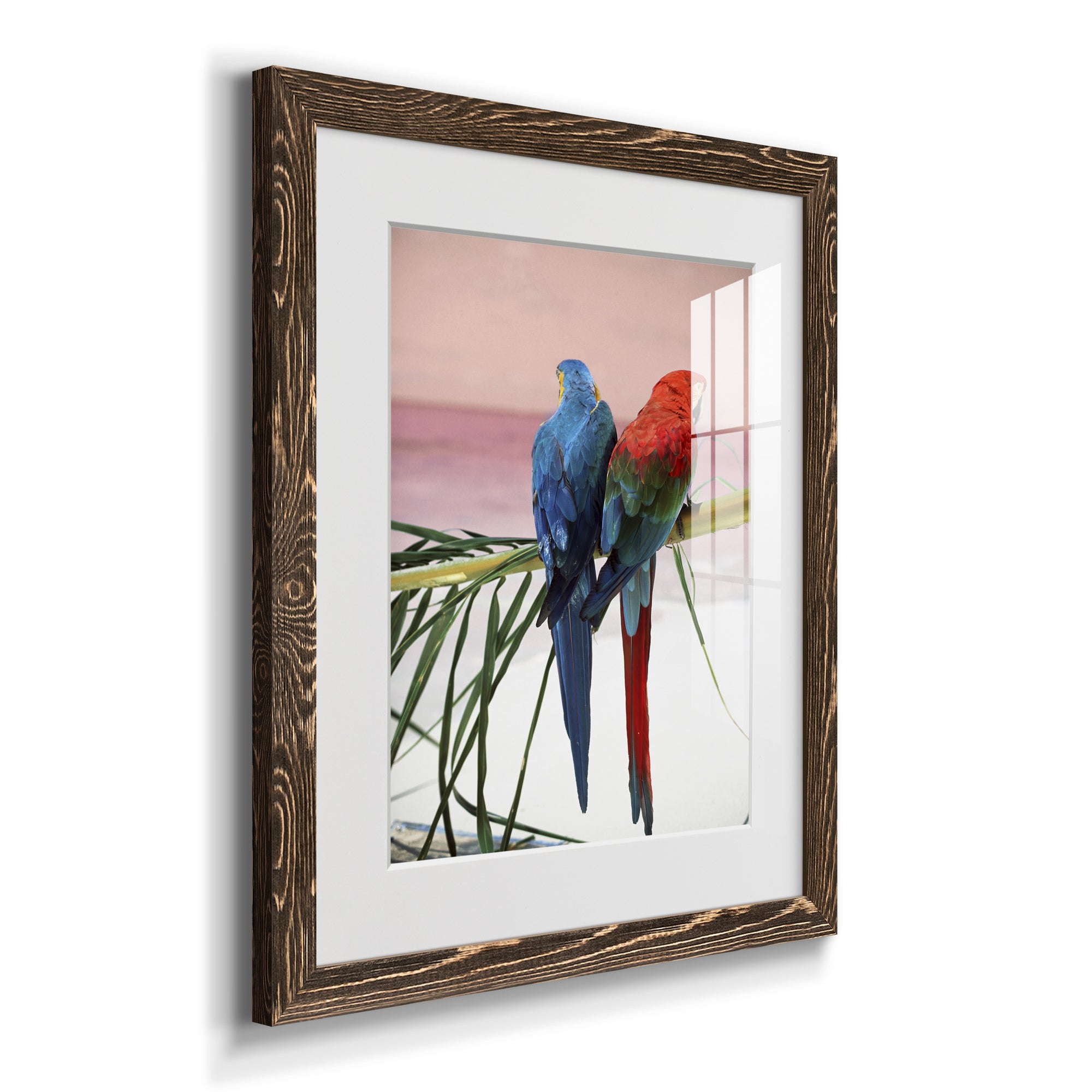 Palm Parrots - Barnwood