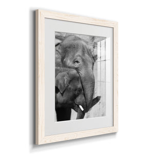 Tender Moment - Barnwood Framed Art Print