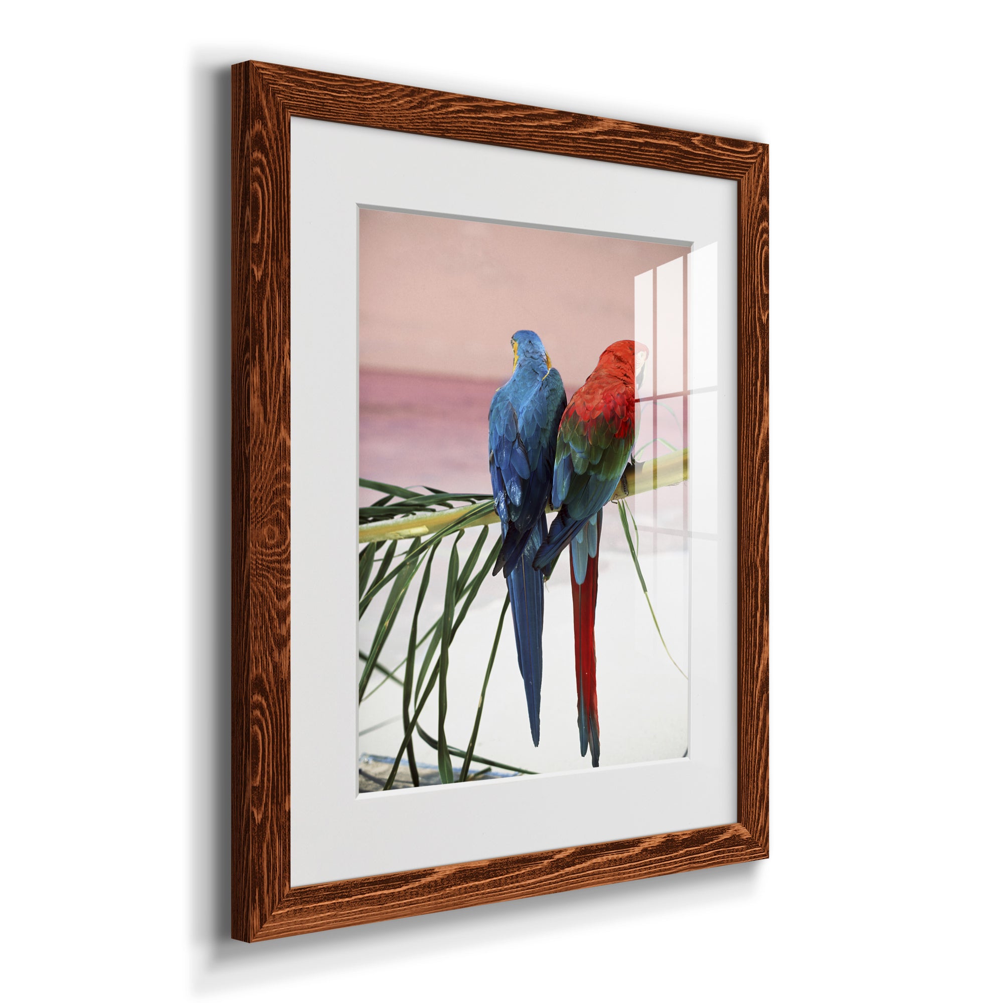 Palm Parrots - Barnwood