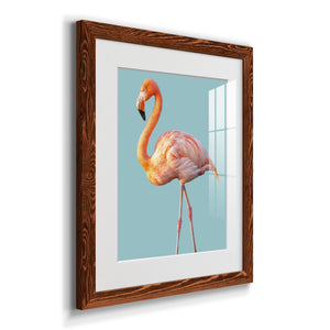 Flamingo - Barnwood