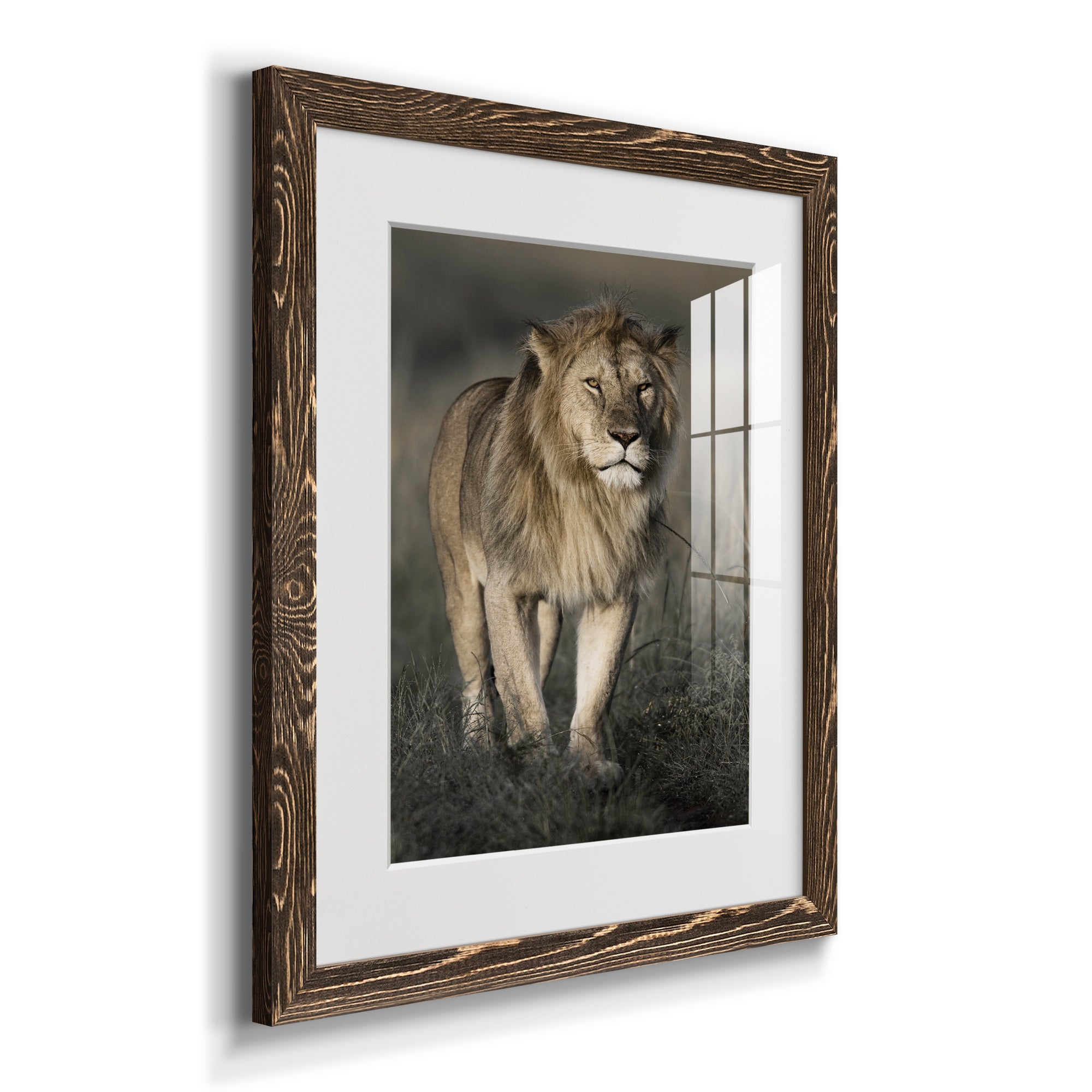 Morning Walk in Masai Mara - Premium Framed Print - Distressed Barnwood Frame - Ready to Hang
