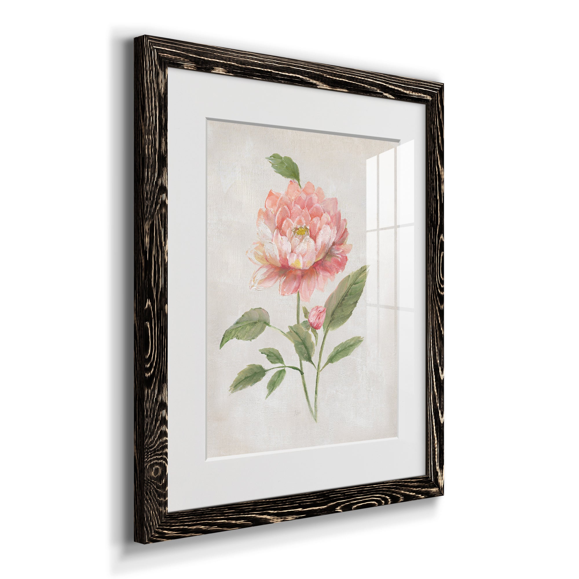 Grandiflora III - Barnwood Framed Art Print