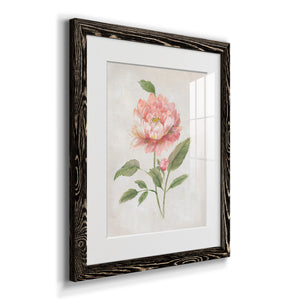 Grandiflora III - Barnwood Framed Art Print