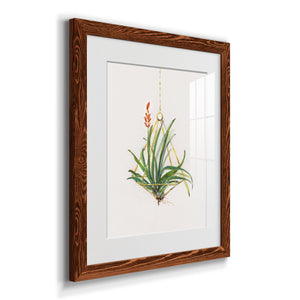 Gardenaire I - Barnwood Framed Art Print