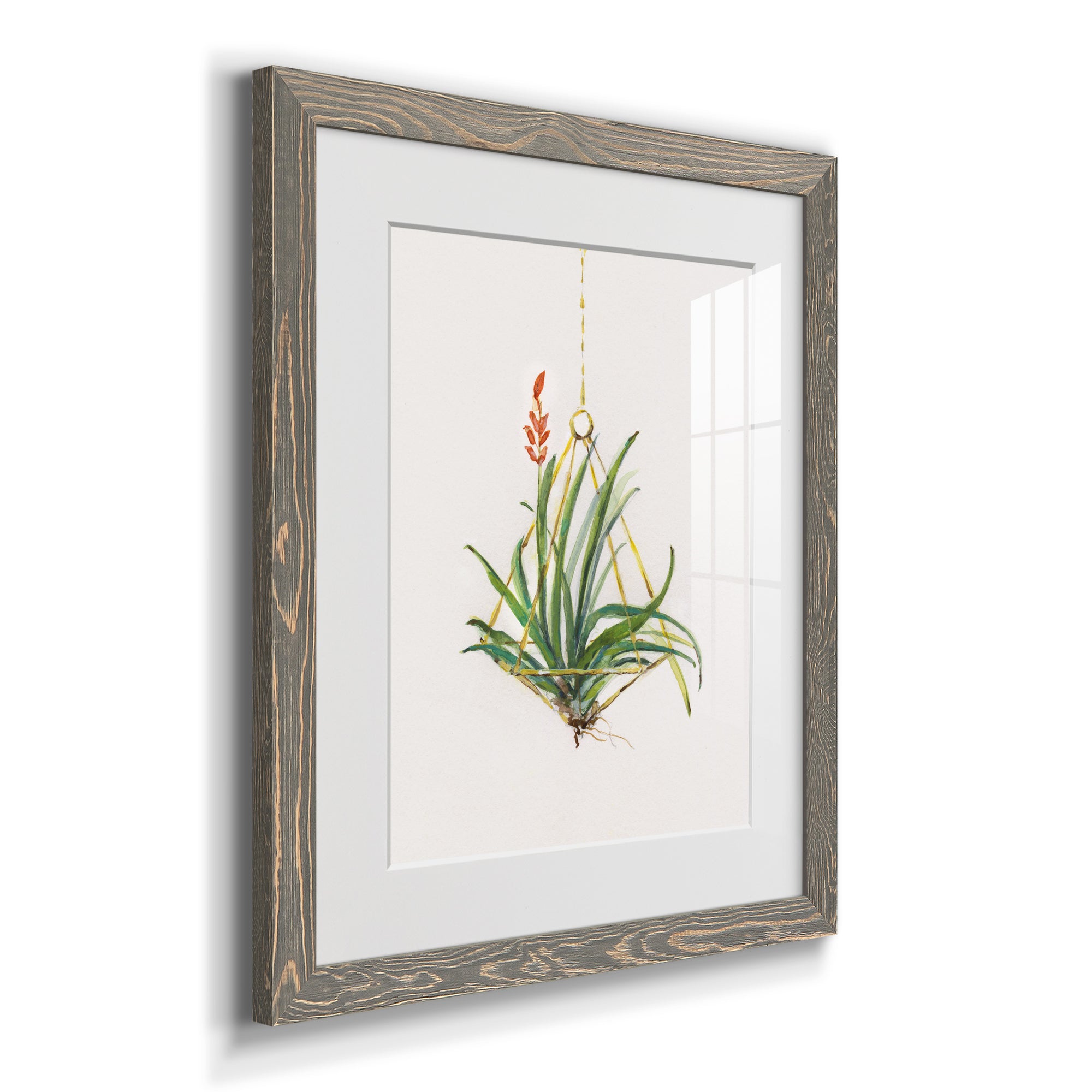Gardenaire I - Barnwood Framed Art Print