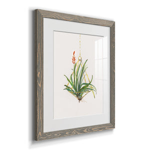 Gardenaire I - Barnwood Framed Art Print
