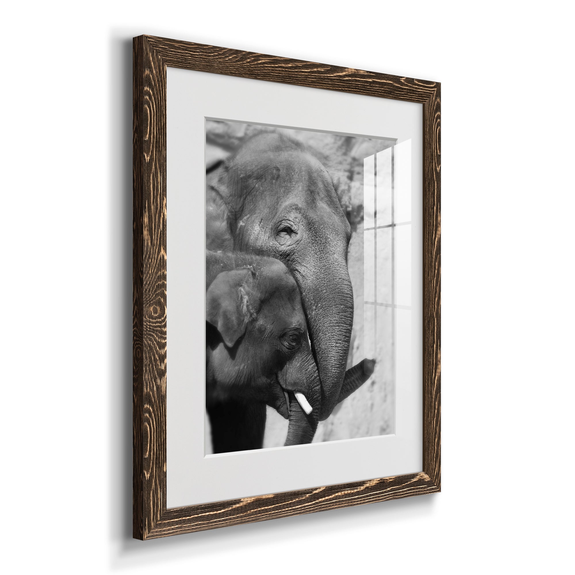Tender Moment - Barnwood Framed Art Print