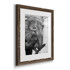 Tender Moment - Barnwood Framed Art Print
