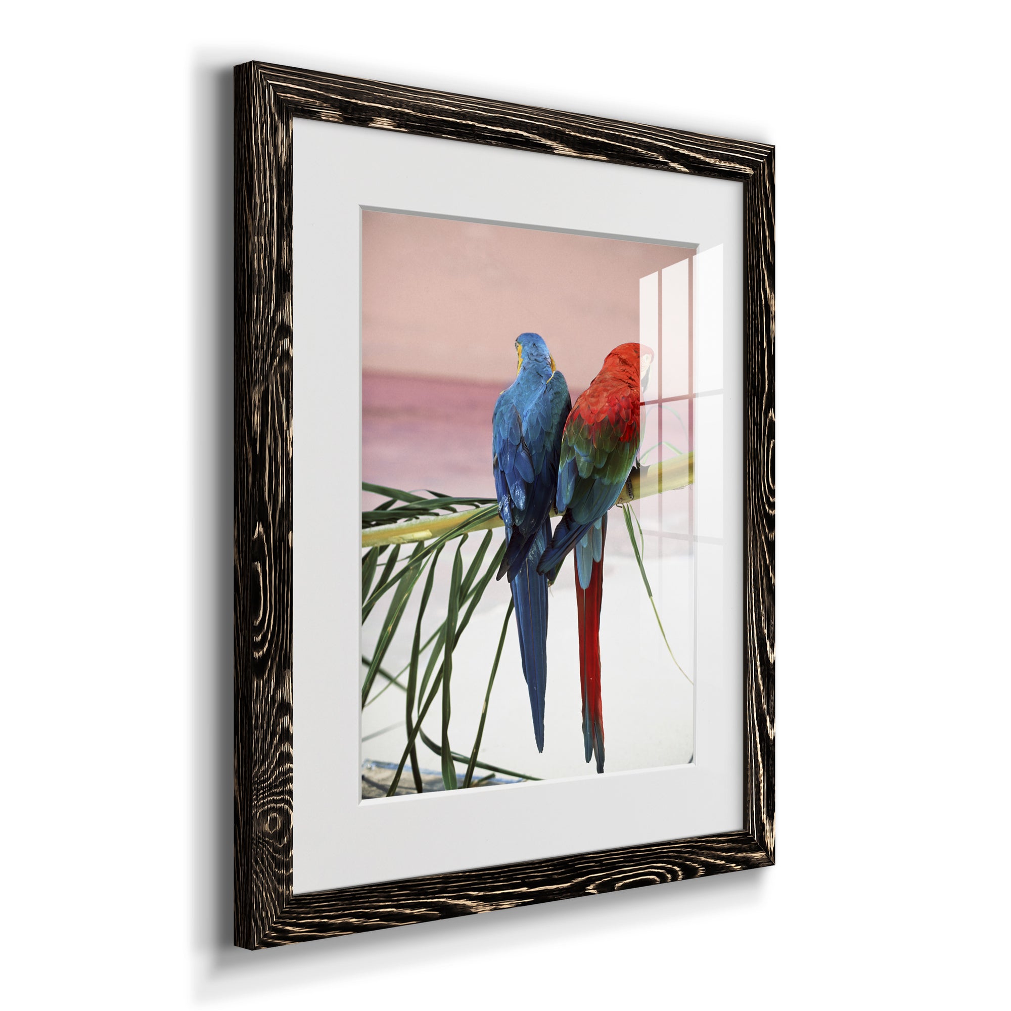 Palm Parrots - Barnwood