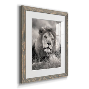 Pride of the Pride - Barnwood Framed Art Print