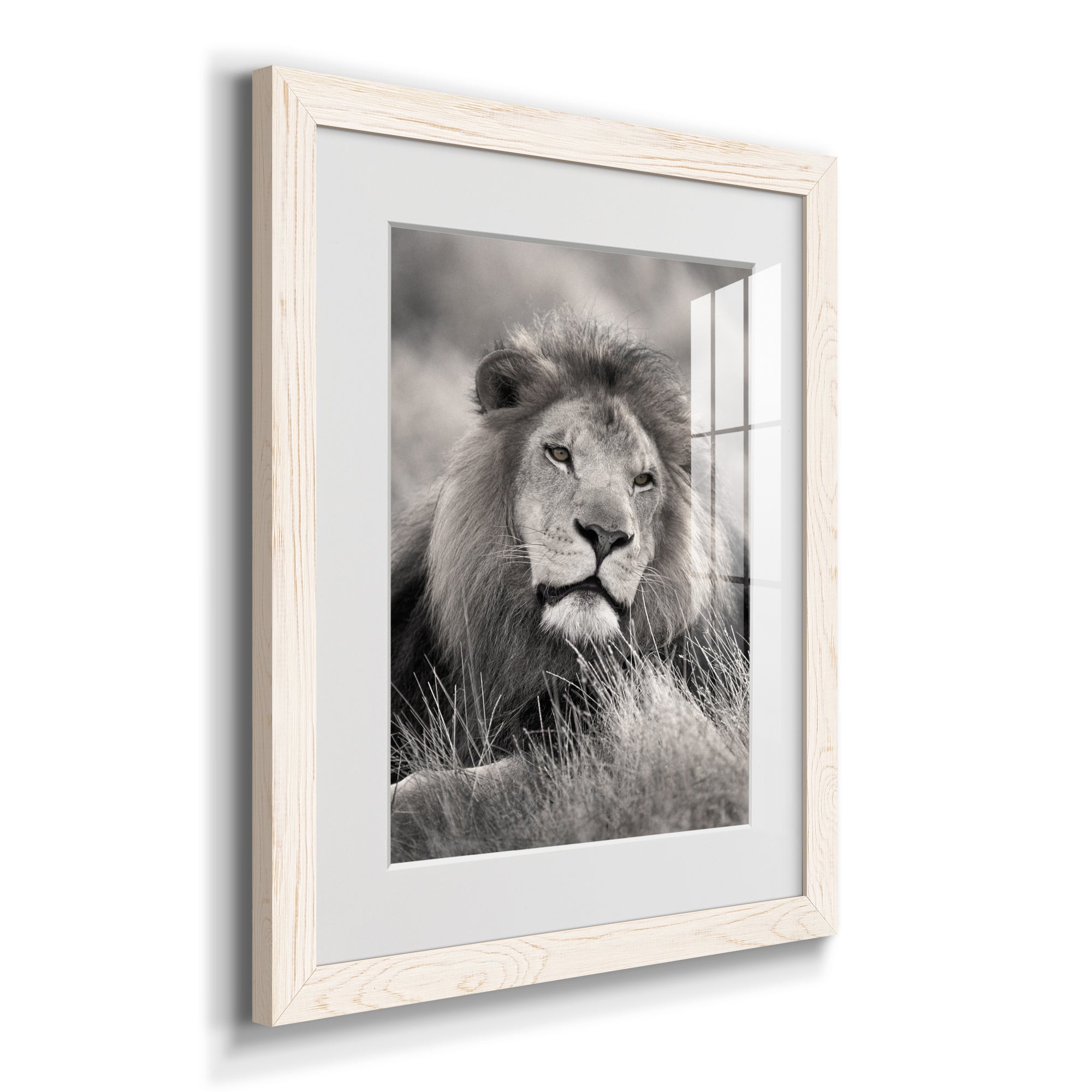 Pride of the Pride - Barnwood Framed Art Print