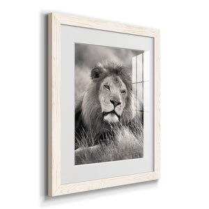Pride of the Pride - Barnwood Framed Art Print