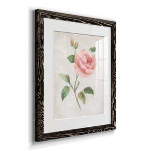 Grandiflora I - Barnwood Framed Art Print