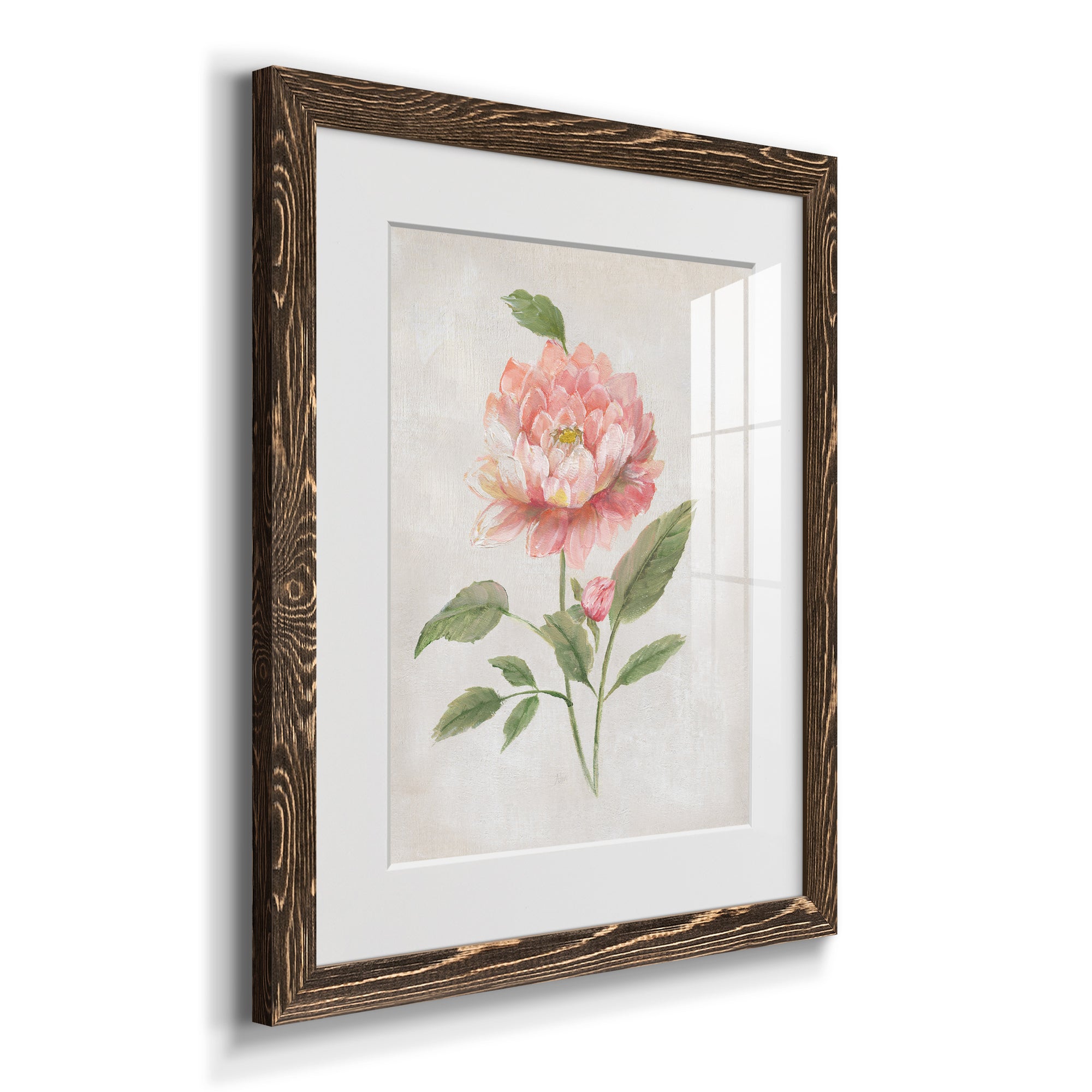 Grandiflora III - Barnwood Framed Art Print