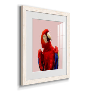Honduras Wildlife - Barnwood