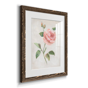 Grandiflora I - Barnwood Framed Art Print