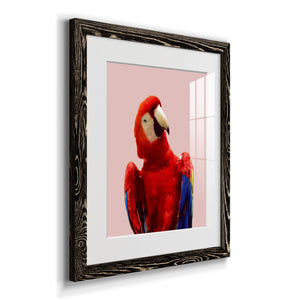 Honduras Wildlife - Barnwood