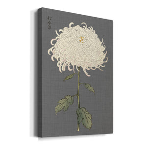 Dramatic Ivory Mums II Premium Gallery Wrapped Canvas - Ready to Hang