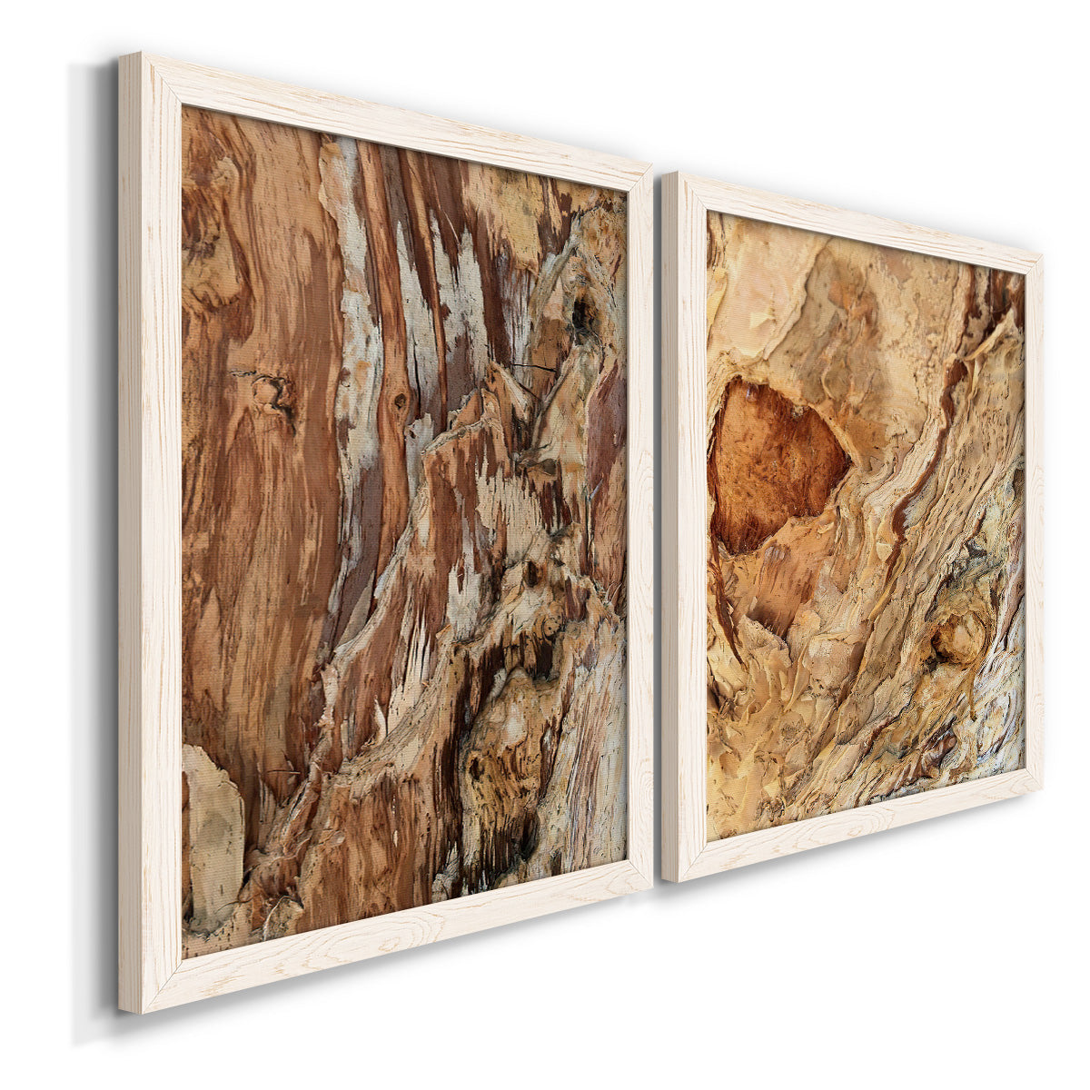 Tree Texture Triptych I - Premium Framed Canvas 2 Piece Set - Ready to Hang