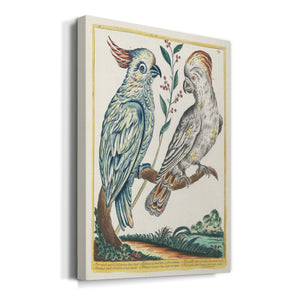 Pastel Birds I - Canvas Art Print