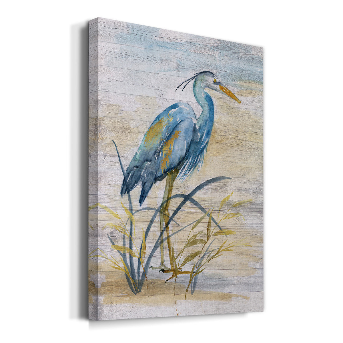 Blue Heron I Premium Gallery Wrapped Canvas - Ready to Hang