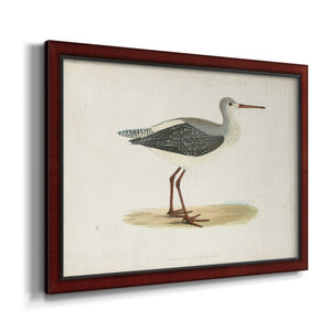 Morris Sandpipers I Premium Framed Canvas- Ready to Hang