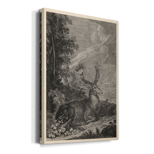 Woodland Deer III Premium Gallery Wrapped Canvas - Ready to Hang