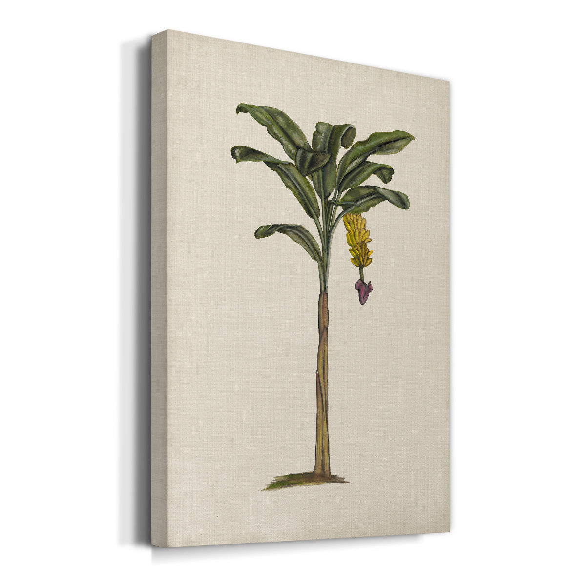UA CH British Palms III Premium Gallery Wrapped Canvas - Ready to Hang