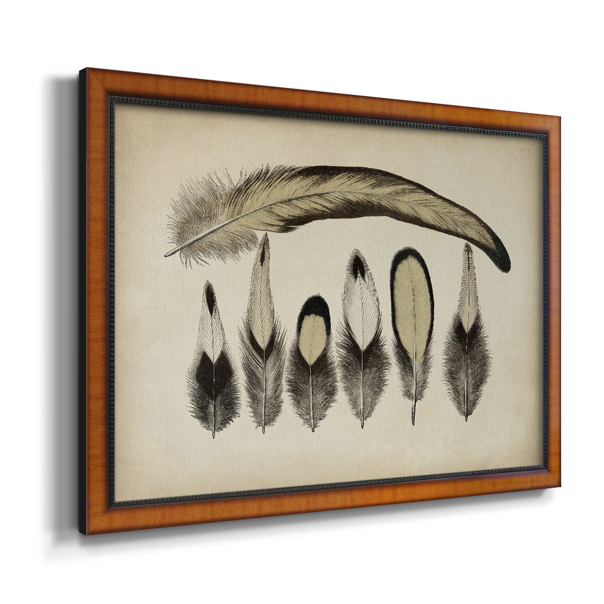 Vintage Feathers VII Premium Framed Canvas- Ready to Hang