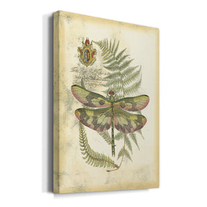 Regal Dragonfly IV (PP)  - Canvas Art Print