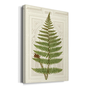 Garden Ferns V Premium Gallery Wrapped Canvas - Ready to Hang