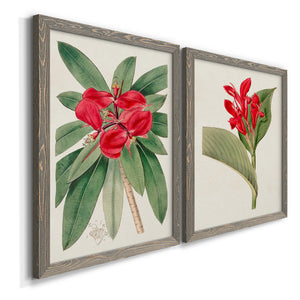 Flora of the Tropics III - Premium Framed Canvas 2 Piece Set - Ready to Hang