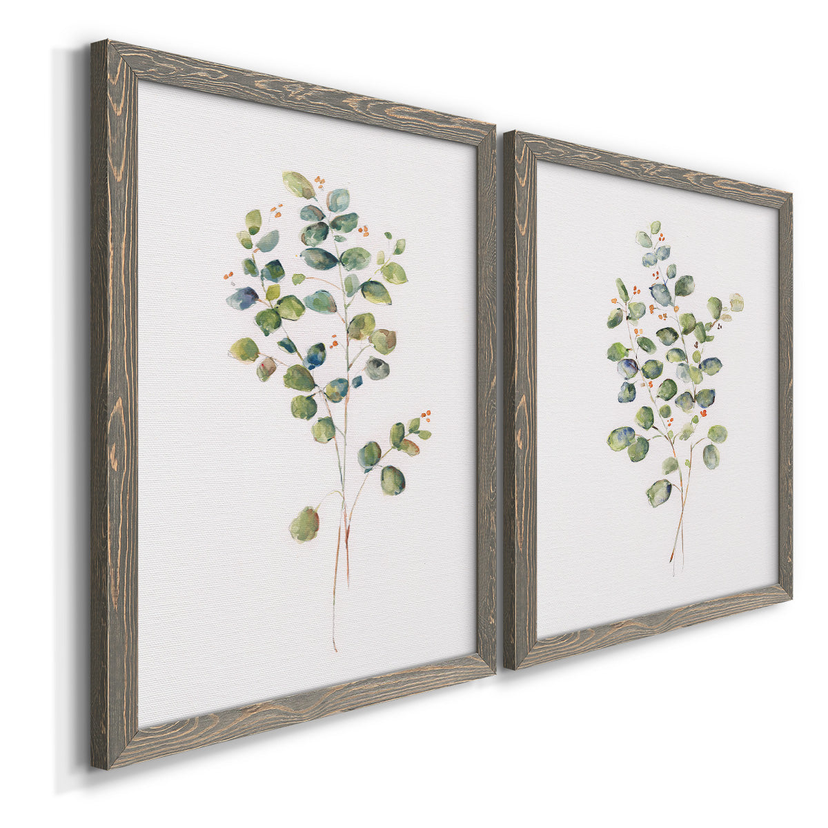 Eucalyptus I   - Premium Framed Canvas 2 Piece Set - Ready to Hang